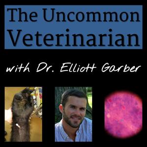 The Uncommon Veterinarian Podcast