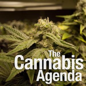 The Cannabis Agenda Podcast