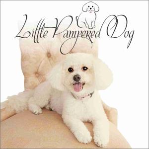 Little Pampered Dog Podcast