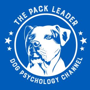 The Pack Leader Dog Psychology Channel