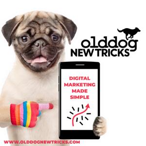 olddognewtricks