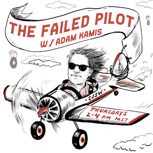 The Failed Pilot