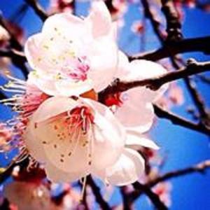 心语文化｜美文安心读给你听