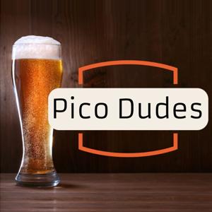 The PicoDudes Podcast