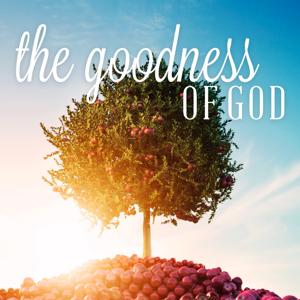 The Goodness Of God Audio