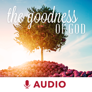 The Goodness Of God (Audio) by Keith Moore