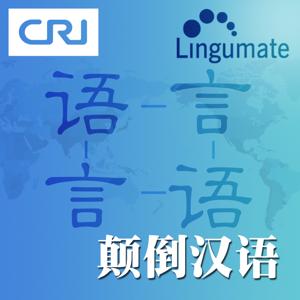 颠倒汉语