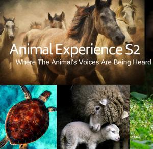 The Animal Experience