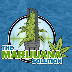 The Marijuana Solution