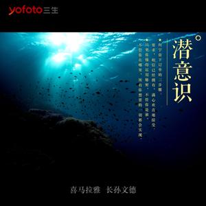 潜意识CD by 文德说