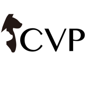 cvp