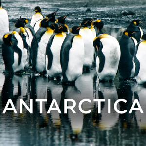 Antarctica (HD) by Earth Touch