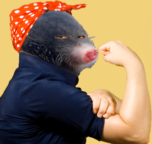 La madre del topo radio