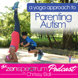 The Zen Spectrum Podcast