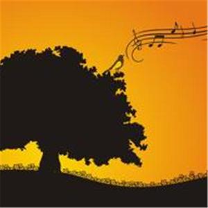 The Wombman's Song Community Experience