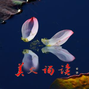 星夜