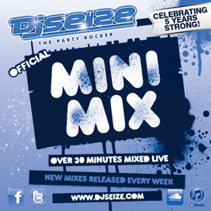 The Official Party Rocker Mini Mixes