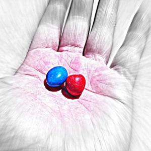 The Red Pill & The Rabbit Hole