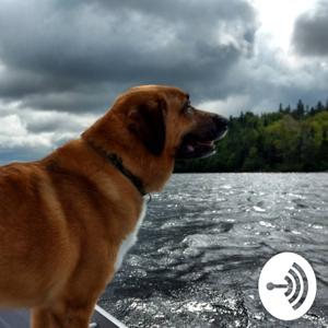 The Mason Barks Podcast