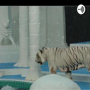 The Eri and Ray Show