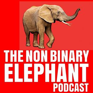 The Non-Binary Elephant Podcast