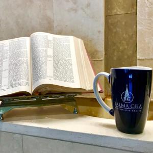 The Lectionary Call-in Podcast by The Lectionary Call-In Podcast