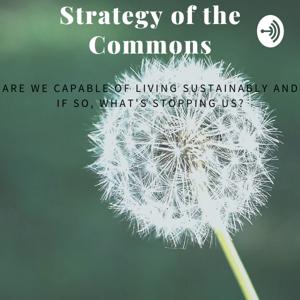 Strategy of the Commons