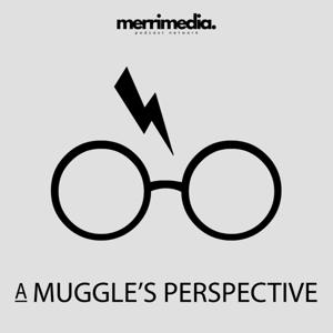 A Muggle's Perspective