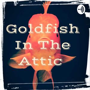 Goldfish in the Attic
