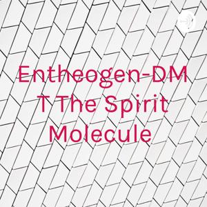 Entheogen-DMT The Spirit Molecule by Samuel Nelson