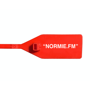 NORMIE.FM