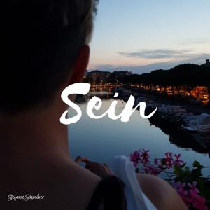 SEIN