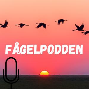 The fagelpodden’s Podcast