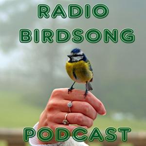 The Radio Birdsong Podcast by Quentin Howard at Radio Birdsong