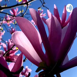 Confidence! with Lucinda Atwood