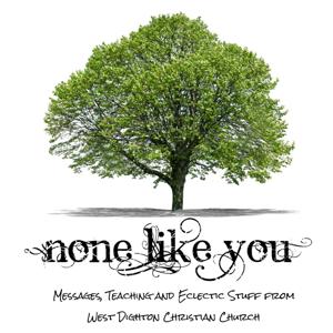 NONE LIKE YOU