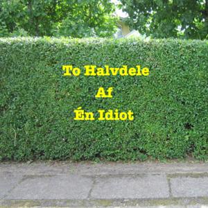 To Halvdele Af Én Idiot