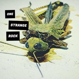 One Strange Rock