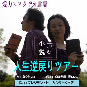 声の小説
