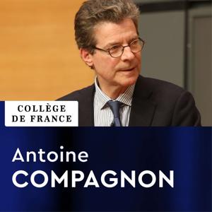 Littérature française moderne et contemporaine : Histoire, critique, théorie - Antoine Compagnon