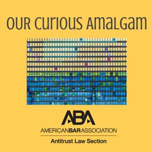 Our Curious Amalgam by American Bar Association