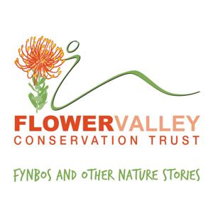 Flower Valley