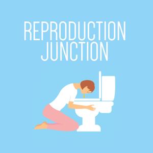 Reproduction Junction