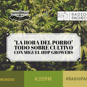La Hora Del Porro!! Con Miguel HDP