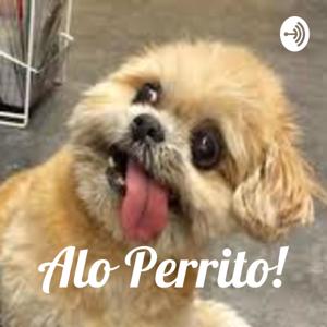 Alo Perrito!