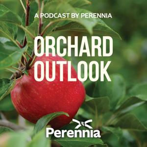 Orchard Outlook