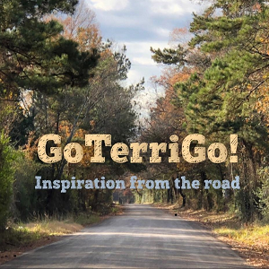 On the Road Again with GoTerriGo!