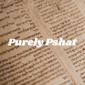 Purely Pshat with Tony Newmark (Quick Context on the Parsha)