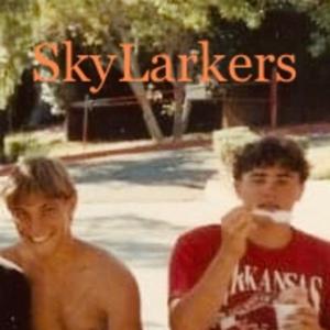 Skylarker