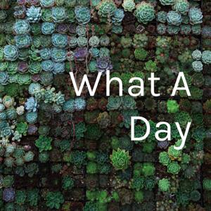 What A Day